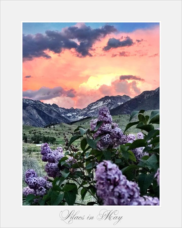 Pine Creek Cabin Livingston Montana מראה חיצוני תמונה