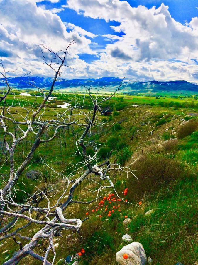Pine Creek Cabin Livingston Montana מראה חיצוני תמונה