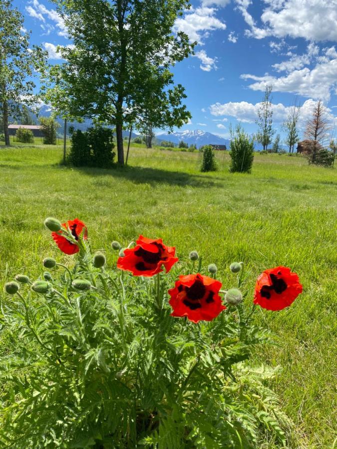 Pine Creek Cabin Livingston Montana מראה חיצוני תמונה
