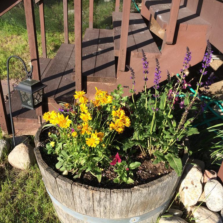 Pine Creek Cabin Livingston Montana מראה חיצוני תמונה