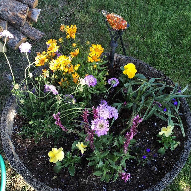 Pine Creek Cabin Livingston Montana מראה חיצוני תמונה