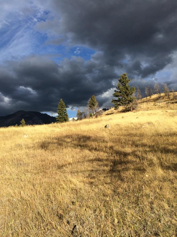 Pine Creek Cabin Livingston Montana מראה חיצוני תמונה